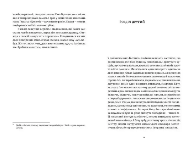 Ловець повітряних зміїв - primesbooks
