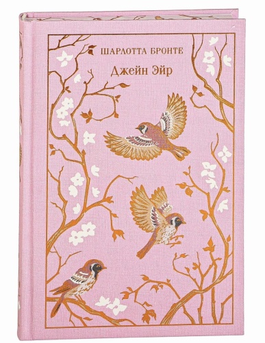 Джейн-Эйр-с-иллюстрациями-PRIMESbooks.jpg