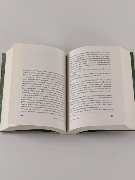 Мои яблочные дни - primesbooks