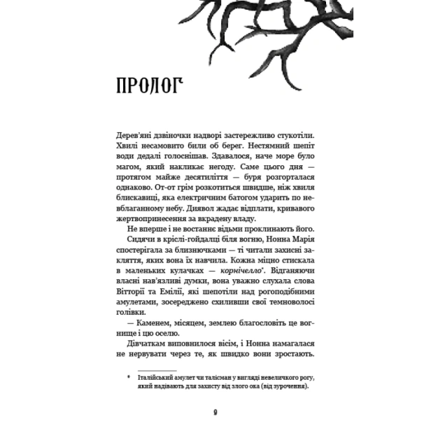 Королівство-Нечестивих-Книга-1-PRIMESbooks3.webp