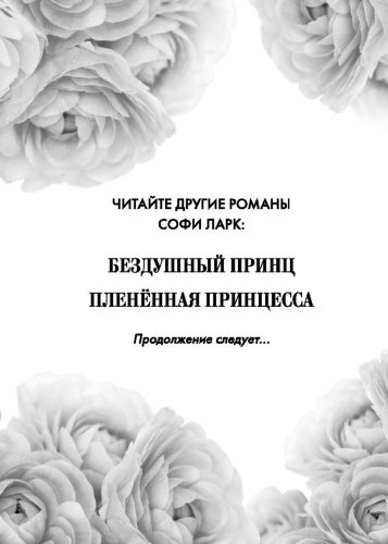 Пленённая-принцесса-PRIMESbooks2.jpg