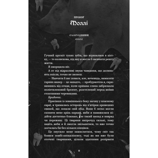Де-Моллі?-PRIMESbooks4.webp