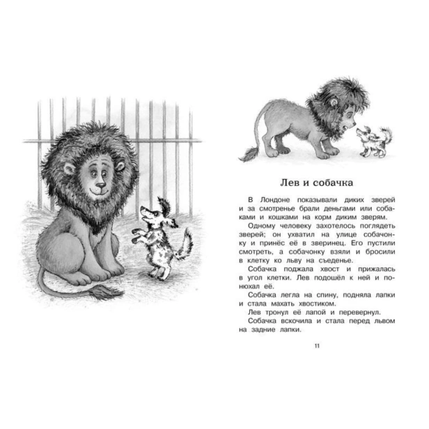 Рассказы-и-сказки-Толстой-PRIMESbooks3.jpg