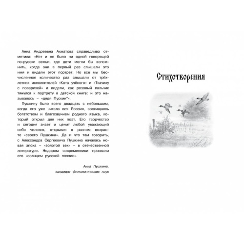Стихи-и-сказки-Пушкин-PRIMESbooks2.jpg