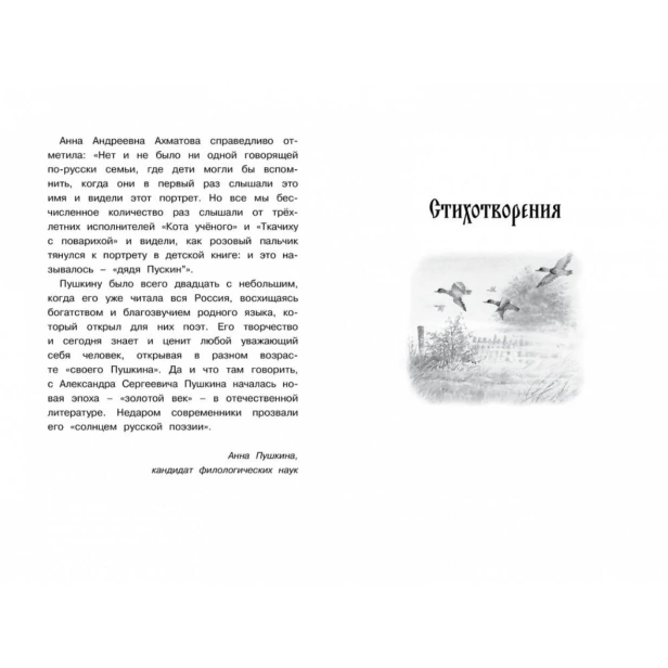 Стихи-и-сказки-Пушкин-PRIMESbooks2.jpg