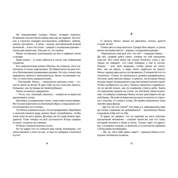 Чудесное-путешествие-Нильса-с-дикими-гусями-PRIMESbooks4.jpg