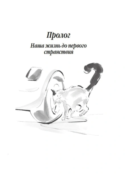 Хроники-странствующего-кота-PRIMESbooks2.jpg
