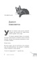 Если-все-кошки-в-мире-исчезнут-PRIMESbooks4.jpg