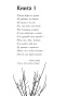 Жестокий-принц-PRIMESbooks6.jpg