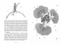 Маленький-принц-ЧБ-рисунки-PRIMESbooks3.jpg