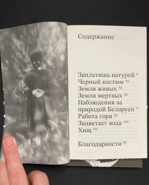 чорны-лес-PRIMESbooks3.webp