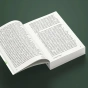Колдун-Тамат-PRIMESbooks3.webp