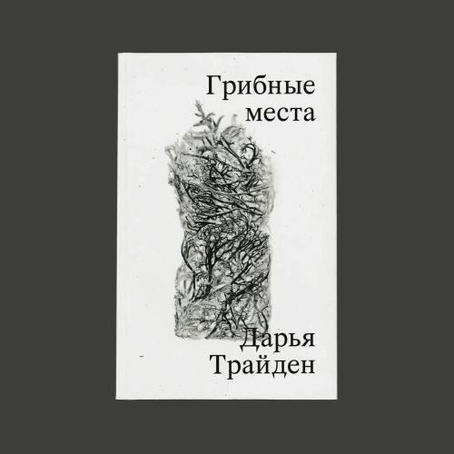 Грибные-места-PRIMESbooks.webp