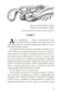 Четвертое-крыло-PRIMESbooks4.jpg