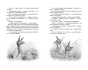 Бемби-PRIMESbooks4.jpg