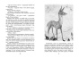 Бемби-PRIMESbooks5.jpg
