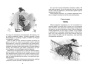 Питер-Пэн-PRIMESbooks3.jpg