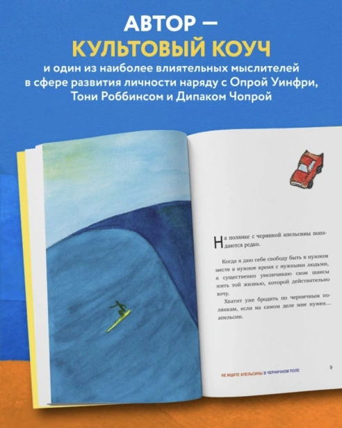 Не-ищите-апельсины-в-черничном-поле-PRIMESbooks4.jpg