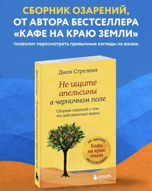 Не-ищите-апельсины-в-черничном-поле-PRIMESbooks2.jpg