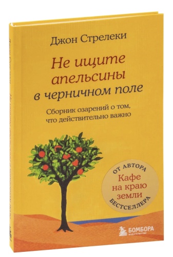 Не-ищите-апельсины-в-черничном-поле-PRIMESbooks.jpg