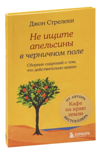 Не-ищите-апельсины-в-черничном-поле-PRIMESbooks.jpg