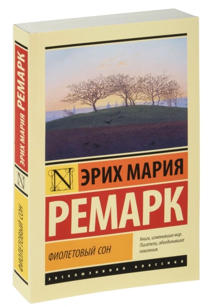 Фиолетовый-сон-PRIMESbooks.jpg