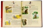 Бабусині-казки-на-добраніч-PRIMESbooks3.jpg