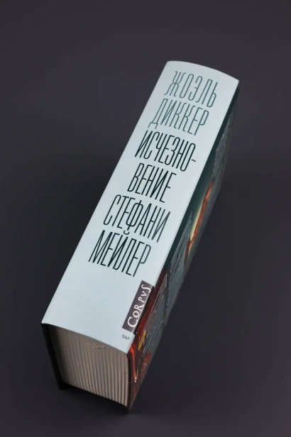 Исчезновение-Стефани-Мейлер-PRIMESbooks3.webp