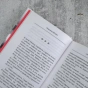 Конклав-с-PRIMESbooks4.webp