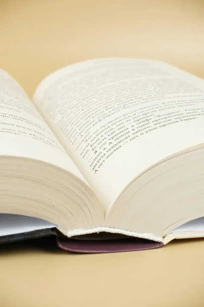 Правда-о-деле-Гарри-Квеберта-PRIMESbooks3.webp