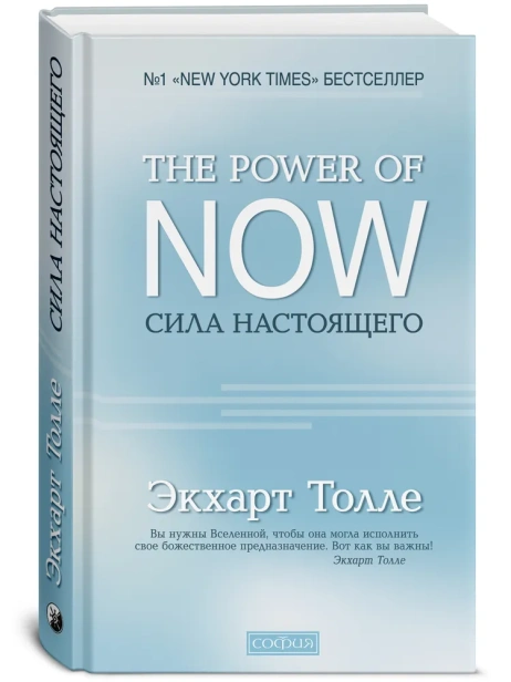 Сила-настоящего-PRIMESbooks.webp