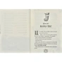 Різдвозавр-та-зимова-відьма-PRIMESbooks4.webp