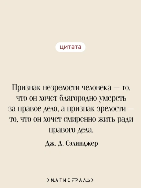 Над-пропастью-во-ржи-PRIMESbooks3.webp