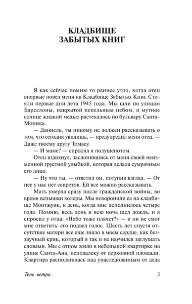 Тень-ветра-PRIMESbooks3.webp