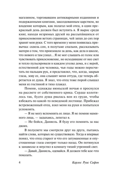Тень-ветра-PRIMESbooks4.webp
