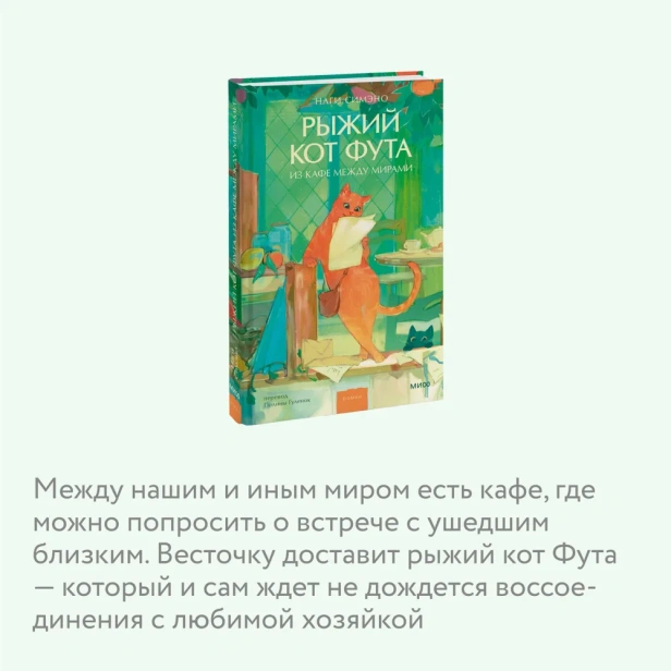Рыжий-кот-Фута-из-кафе-между-мирами-PRIMESbooks4.webp
