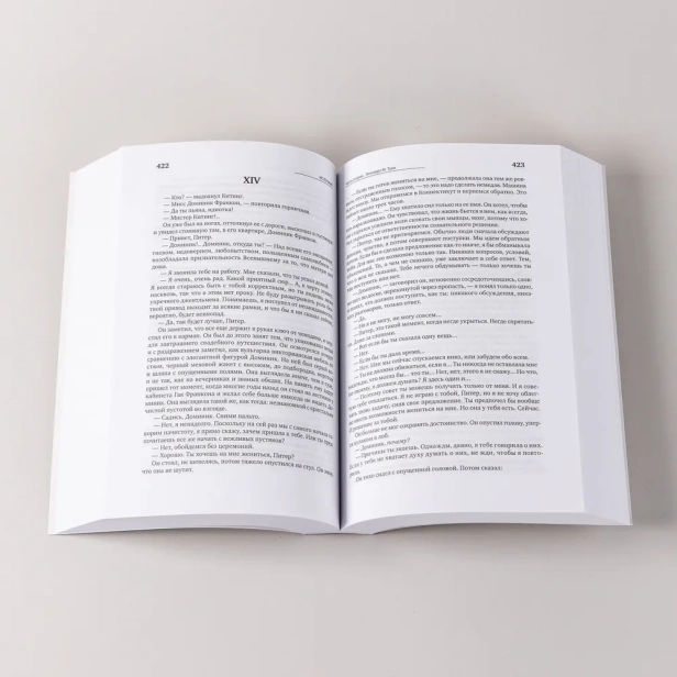 Источник-PRIMESbooks4.webp