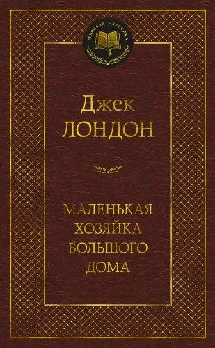 Маленькая-хозяйка-большого-дома-PRIMESbooks.webp