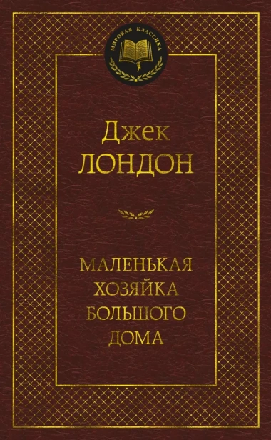 Маленькая-хозяйка-большого-дома-PRIMESbooks.webp