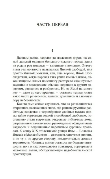 Яма-PRIMESbooks2.webp