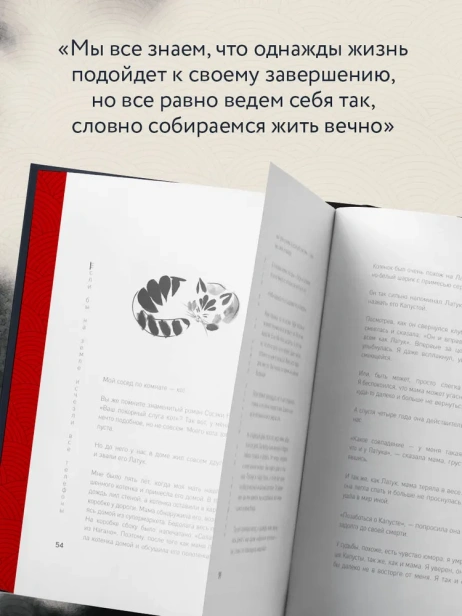 Если-все-кошки-в-мире-исчезнут-Эксклюзивное-издание-с-цветными-иллюстрациями-имитация-шнуровки-печать-по-обрезу-PRIMESbooks3.webp
