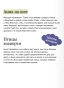 Анна-на-шее-Вечные-истории-PRIMESbooks4.webp