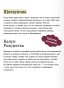 Щелкунчик-и-мышиный-король-Вечные-истории-PRIMESbooks4.webp