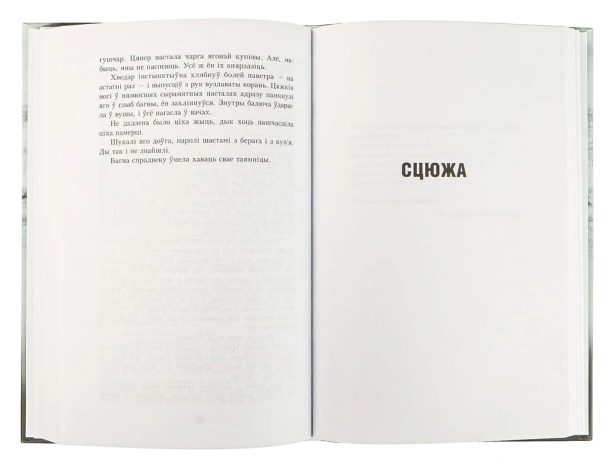 У-тумане-Аблава-Сцюжа-PRIMESbooks2.webp