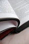 Преследуя-Аделин-Специальное-издание-PRIMESbooks4.webp