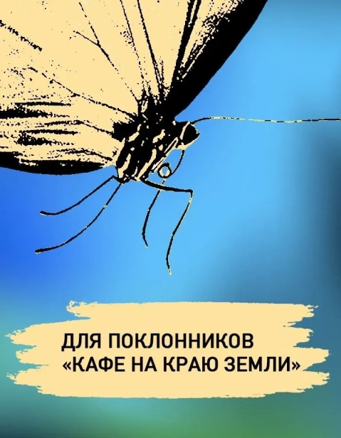 Интуицио-PRIMESbooks4.webp