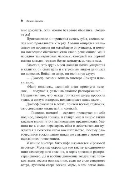 Грозовой-перевал-PRIMESbooks4.webp