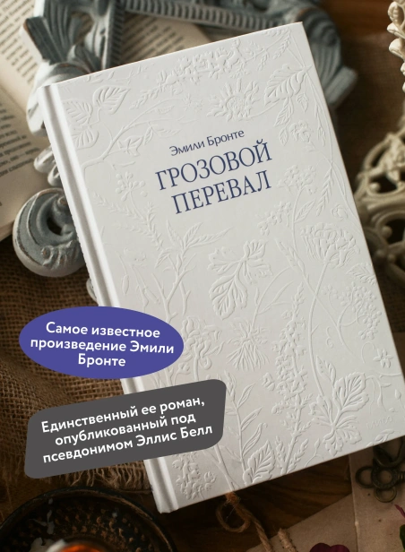 Грозовой-перевал-PRIMESbooks3.webp