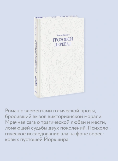 Грозовой-перевал-PRIMESbooks4.webp