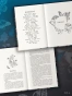 Синие-бабочки-PRIMESbooks3.webp
